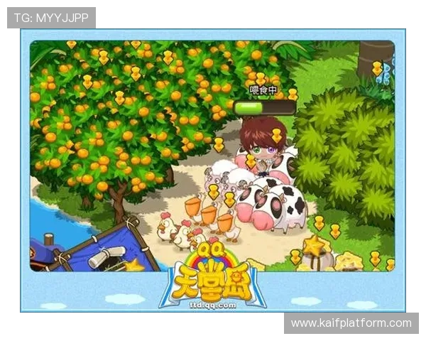 选择凯发娱乐地址平台：提升您的游戏体验与乐趣